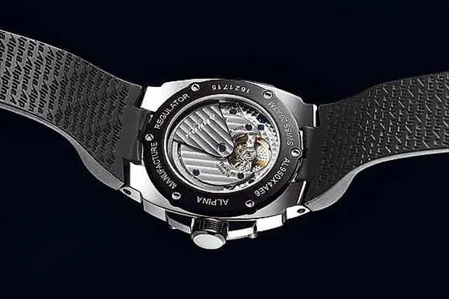 Alpina Avalanche Regulator - back
