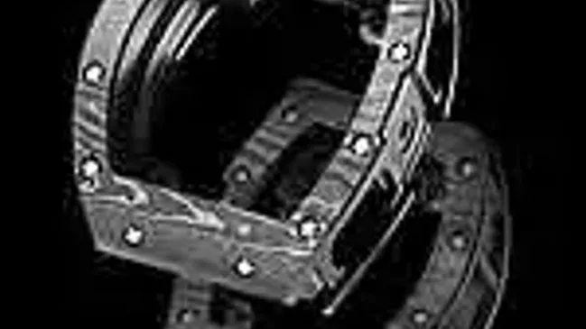 Richard Mille NTPT Carbon Case