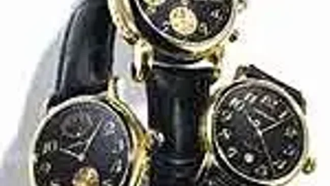 WT Spotlight Montblanc