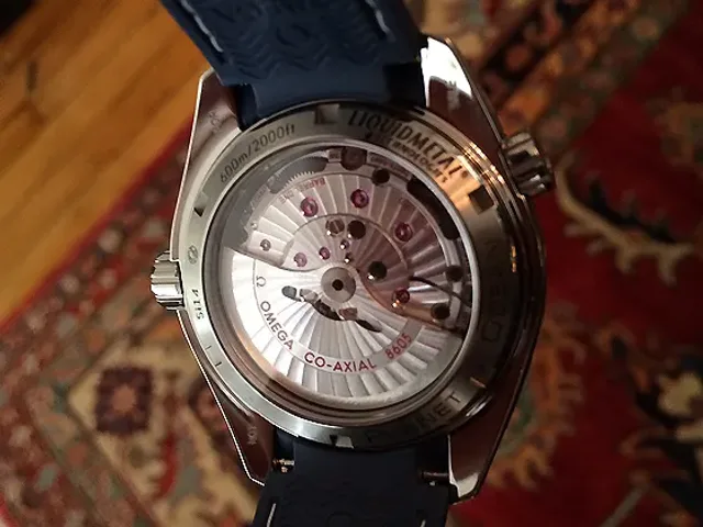 Omega Planet Ocean Goodplanet GMT - back