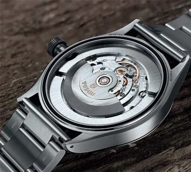 Tudor Heritage Ranger - back