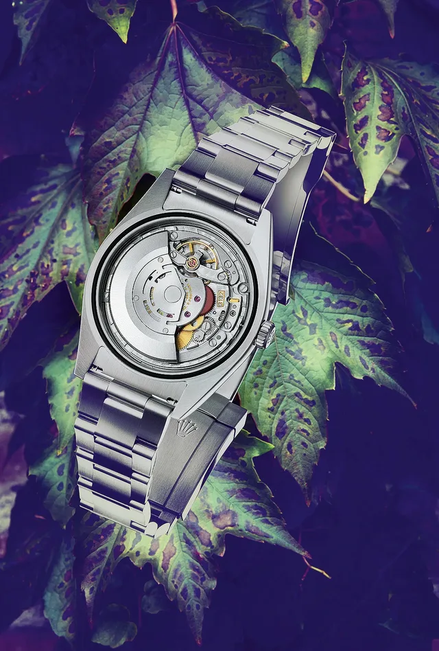 Rolex Day-Date - back