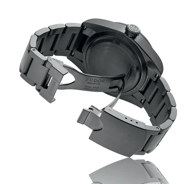 Tudor Heritage Black Bay Dark - buckle