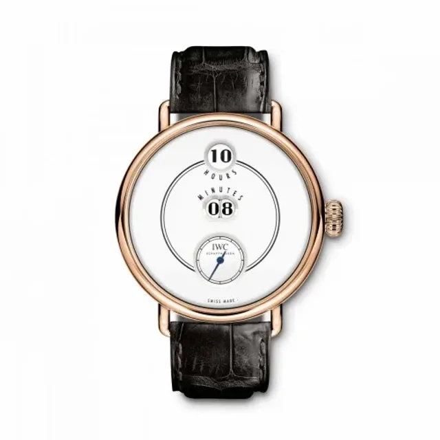 vintage eye iwc tribute to pallweber picture 2