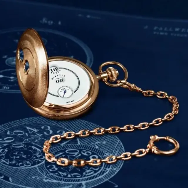 vintage eye iwc tribute to pallweber picture 3