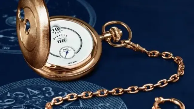 vintage eye iwc tribute to pallweber picture 3