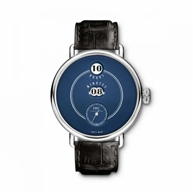 vintage eye iwc tribute to pallweber picture 4