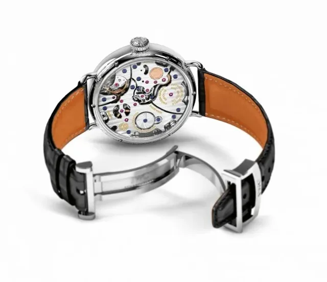 vintage eye iwc tribute to pallweber picture 5