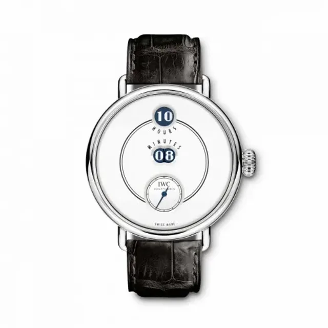 vintage eye iwc tribute to pallweber picture 7