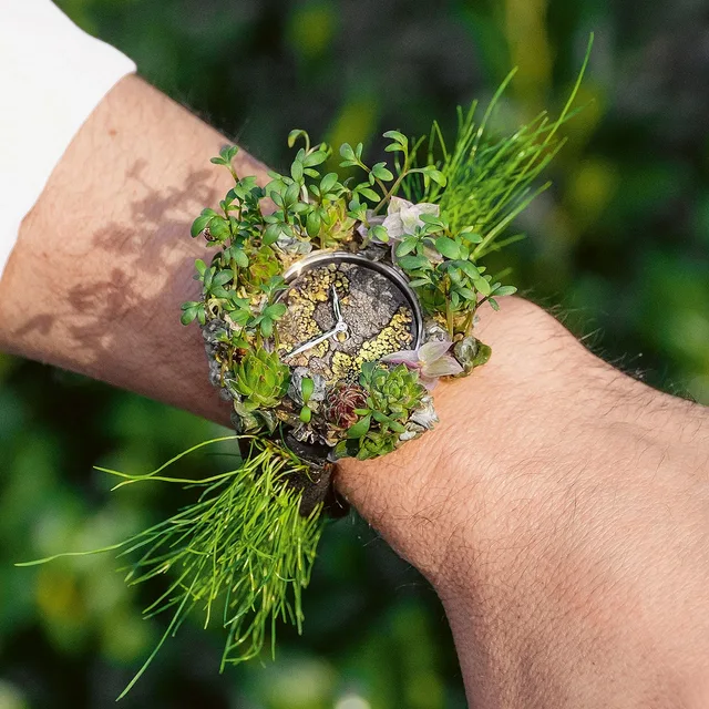 H. Moser Nature Watch