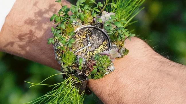 H. Moser Nature Watch