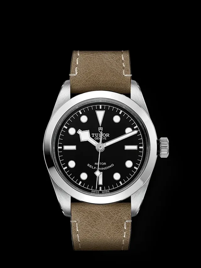 Tudor-Black-Bay-Time-Only-Black-Dial