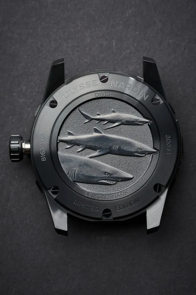 DIVER-LEMON-SHARK-20
