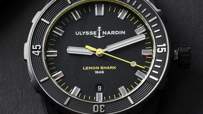 DIVER-LEMON-SHARK-21-1