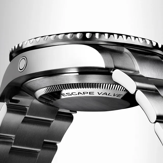 Rolex Oyster Case