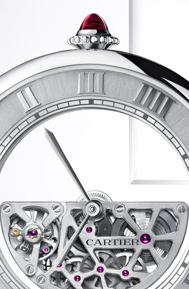 Cartier_Masse-mysterieuse_close-up_CRWHRO0078​