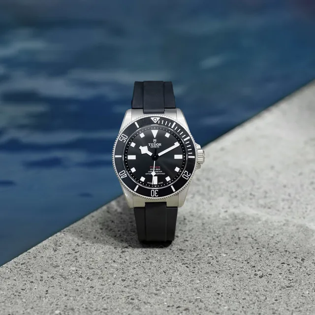 TUDOR-2022-SKY-1164_V2-1