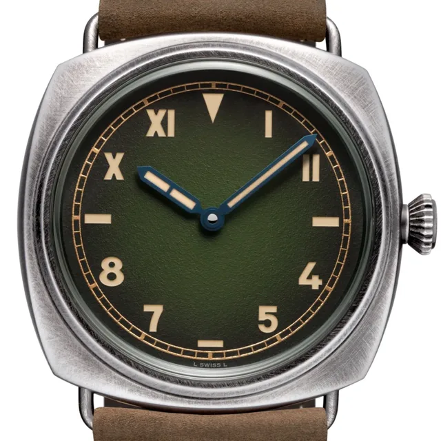 Pam1349_Cat_Front_D_2406062