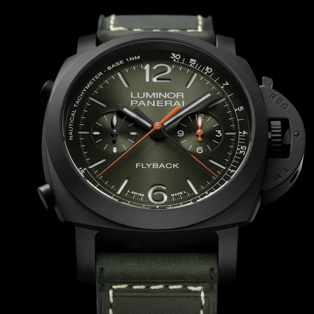 Pam1498_Cat_Dett01