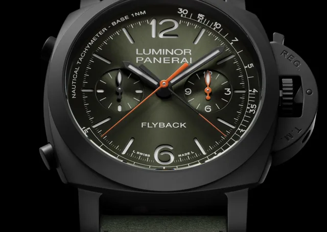 Pam1498_Cat_Dett01