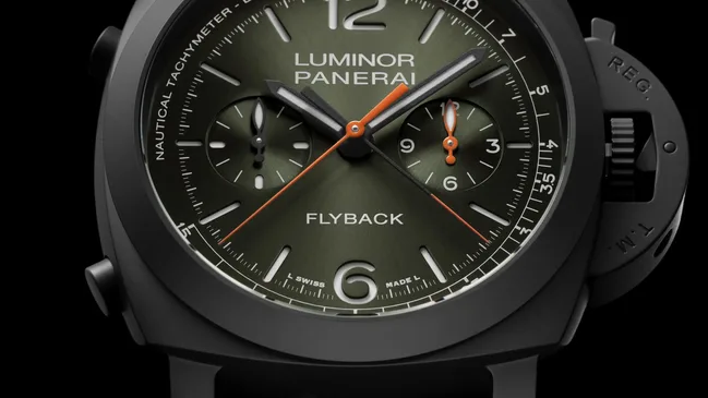 Pam1498_Cat_Dett01