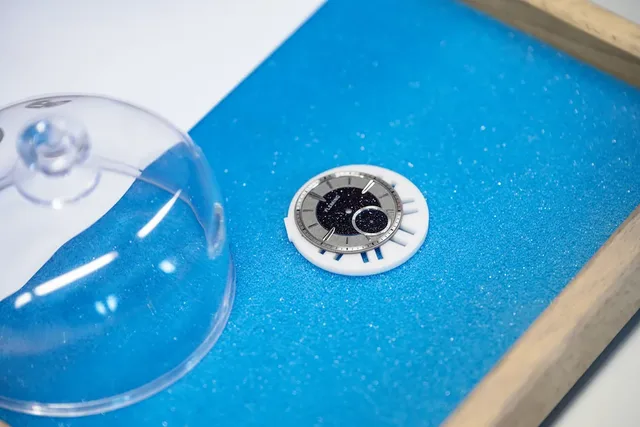 Comblemine-dial-shot-tantalum-version