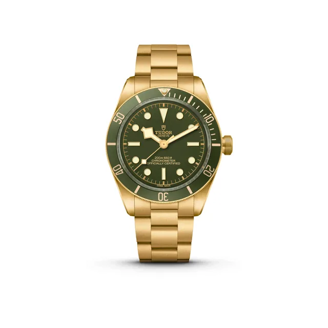 M79018V-0006_green_full_single_FF_RVB