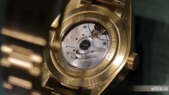 Tudor_Black_Bay_58_Gold_Caseback_Geneva_2024