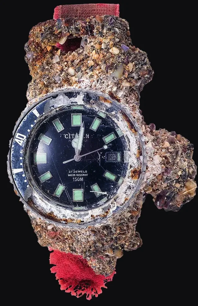 Lost & Found: The Citizen Promaster Dive Automatic “Fujitsubo