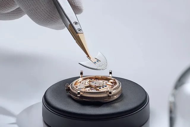 Breguet_Tradition_Seconde_Retrograde_7035_Detail_Rotor