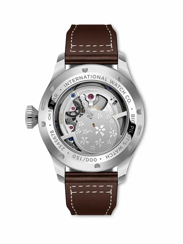 IWC_IW329501_Back_small