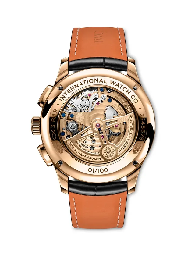 IWC_Portugieser_Tourbillon_Retrograde_IW394009_Back