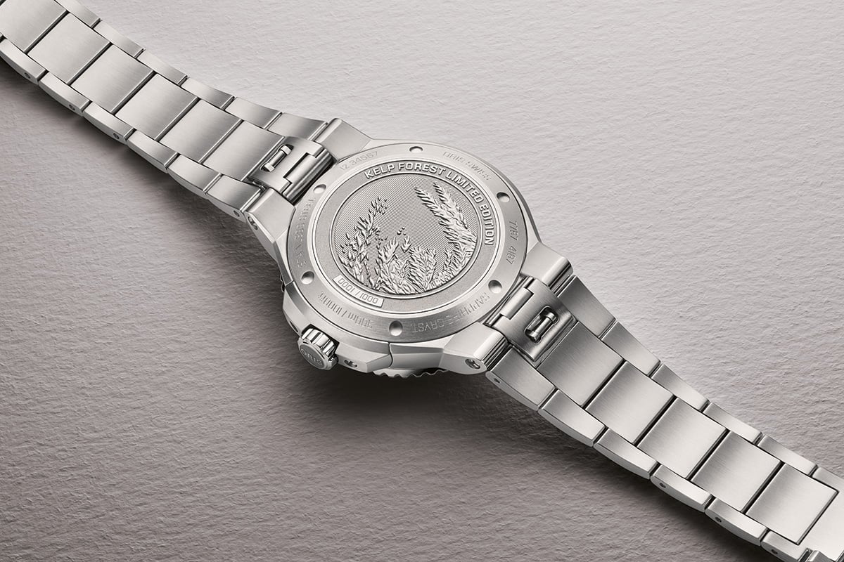 Oris Kelp Forest Limited Edition: case back