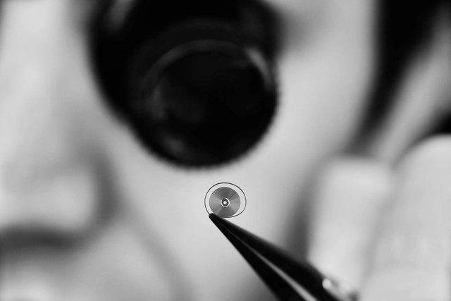 TAG_Heuer_CARBON_HAIRSPRING_LAB_013_FULLFRAME.jpg