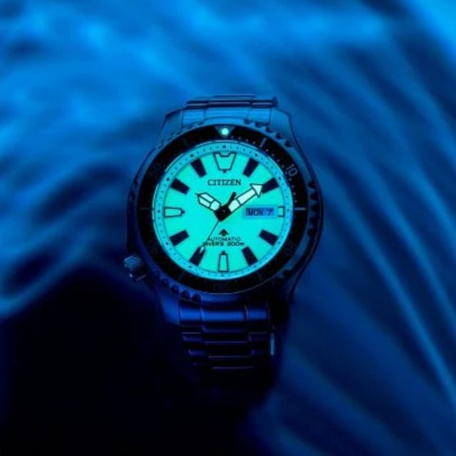 Promaster_Dive_Automatic_599a1056-43cd-4d8f-82e1-61448dbe82b6_1024x1024@2x.jpg