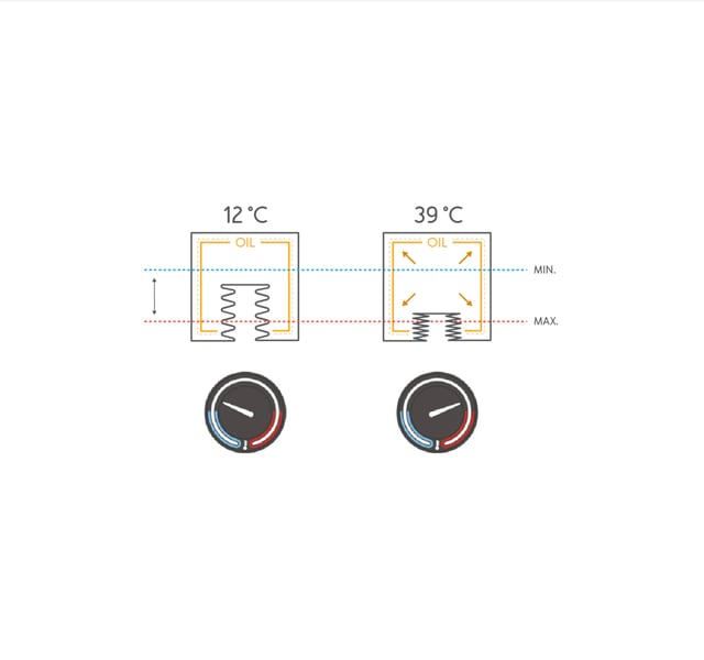 Demonstrating the function of Ressence's bellows system